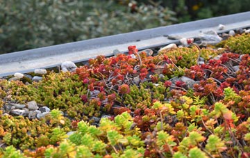 the cost of Little Henham green roof installation