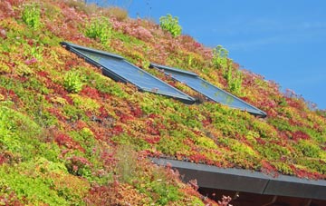 Little Henham living roof systems